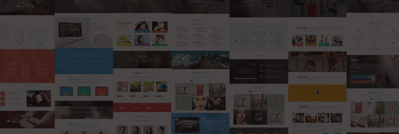 Wordpress Themes